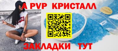 гашик Будённовск