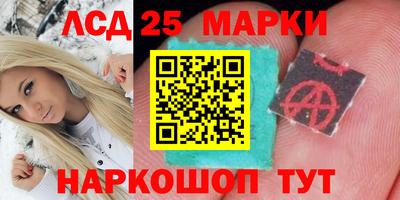 гашик Будённовск
