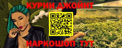 гашик Будённовск