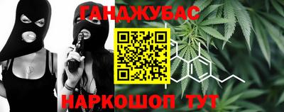 гашик Будённовск