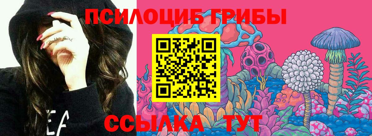 Миасс  Галлюциногенные грибы мицелий  Вход с VPN  Псилоцибиновые грибы Psilocybe 