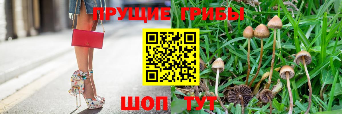 Псилоцибиновые грибы GOLDEN TEACHER Миасс