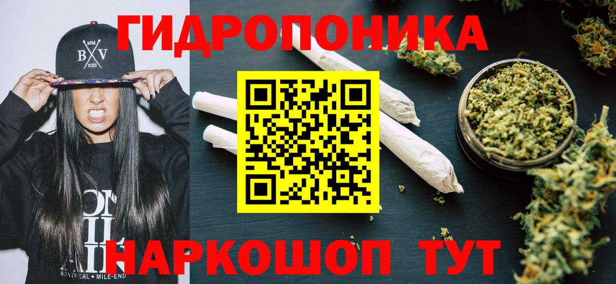 Бошки Шишки планчик Миасс